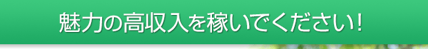 魅力の高収入を稼いでください