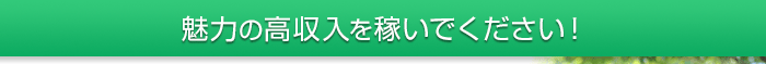 魅力の高収入を稼いでください